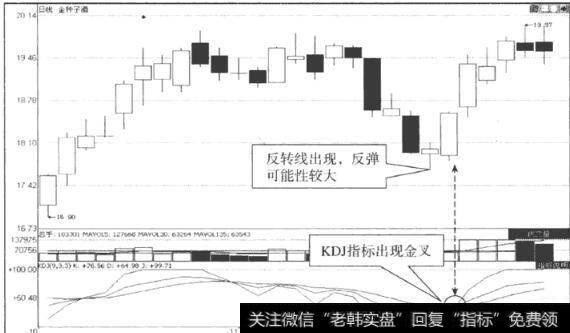 图46金种子酒(600199)日K线走势图