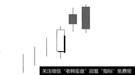 双飞乌鸦