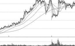 明星基金概念股买入技巧
