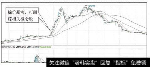 图5 郑棉走势