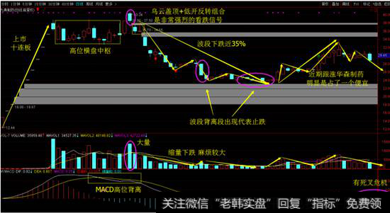 九典制药日线图