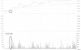 <em>飞亚达A</em>经典分时走势看盘和操作策略解析