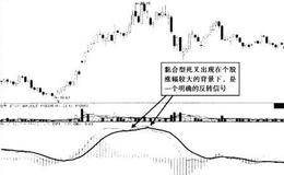 典卖信型死号股的叉
