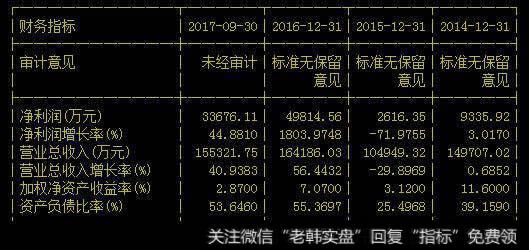 国盛金控财务报表