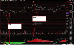 解决中国股市伪市场化的办法是什么?