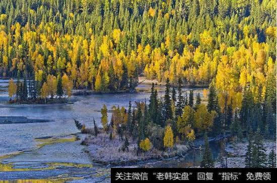 民盟新疆高度关注，新疆生态修复有望升级
