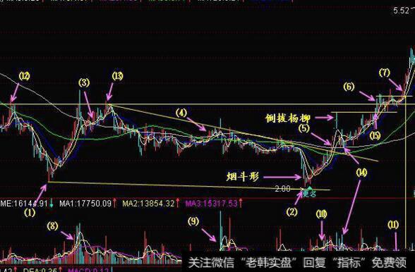 图23倒拔杨柳形态