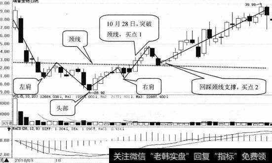 瑞普生物日K线