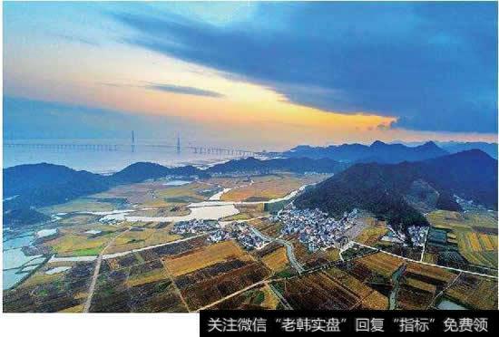 中农办阐述乡村振兴路径，土地利用将统筹发展