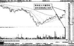 分时图中兔宝宝高开跌破等价线的缩量波动形态卖点