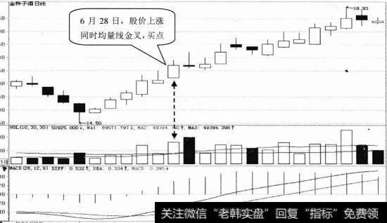 金种子酒日K线