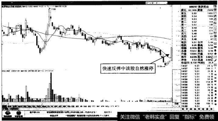 美罗药业——日K钱中反弹涨停板