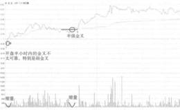 兔宝宝弱金叉买入走势看盘和操盘