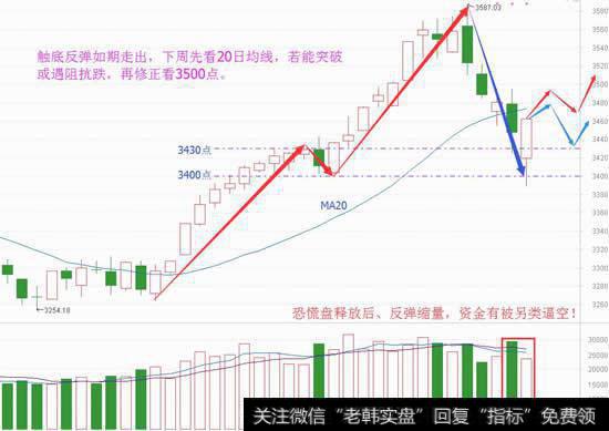 两极分化有原因，反弹修复下周开始