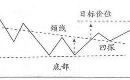 基金重仓股特点及选择原因