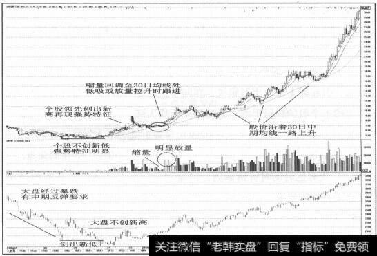 图1-29个股不创新低强势特征明显