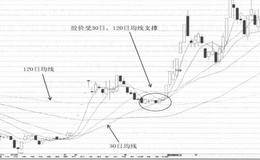 “MSD+VMSD”组合案例解读