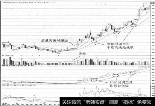 图3-14个股符合龙头股