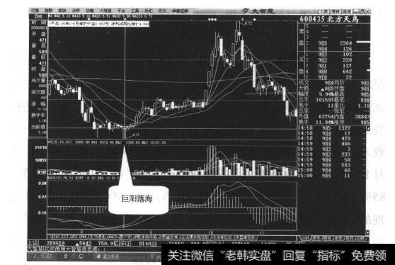 图11-6北方天鸟日线走势图