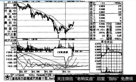 图13-5界龙实业日线走势图