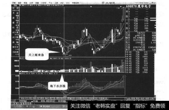 图14-3厦华电子日线走势图