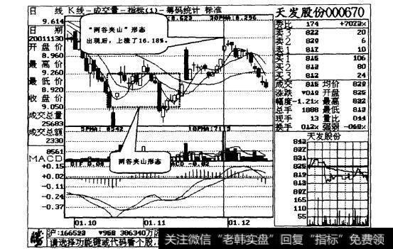 图15-6展开了强劲的反弹行情