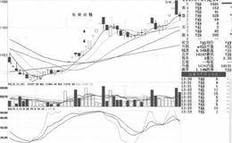 从不同角度分类财务报告的解读