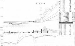 季报、中报与年报之间的关系分析