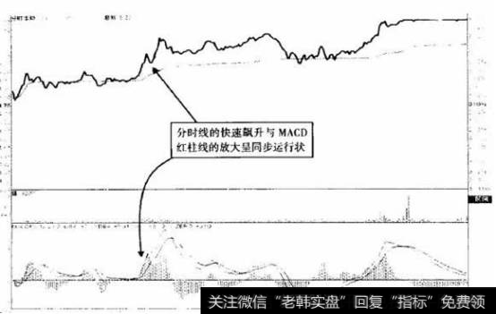 嘉麟杰（0002486) 2013年8月23日分时图