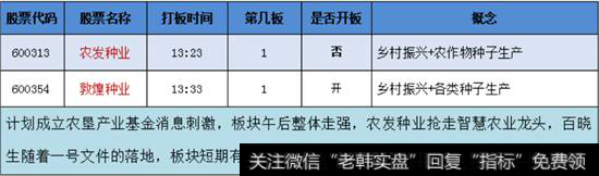 乡村振兴概念