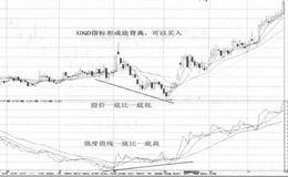 财务报表信息的横向分析应把握的关键问题