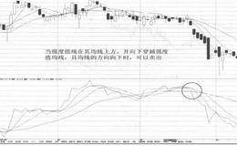 财务报表分析技巧:趋势分析