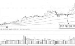 成功追到涨停板的案例解析