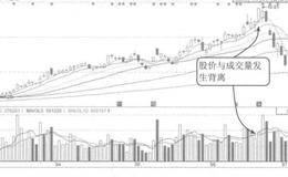 高位出现涨停的案例解析