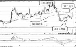 抓涨停第四招：出水芙蓉形态实例分析