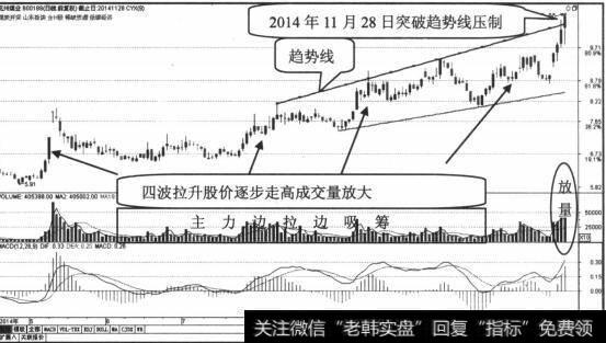 股价沿着5日均线上升