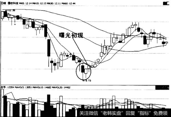 曙光初现图谱形态