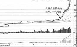 厦门港务、厦门国贸、华发股份股票情况分析