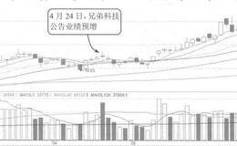季度业绩预增案例详解