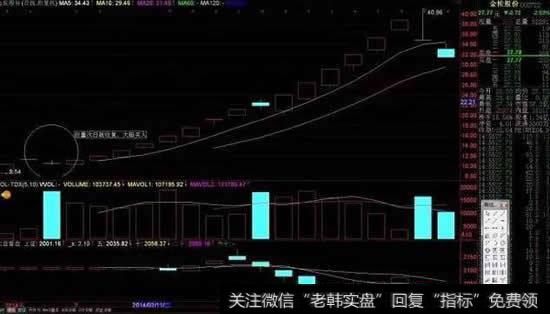 <a href='/t_28772/'>金轮股份</a>k线走势图