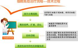 国家生物技术发展战略纲要开始编制、细胞免疫治疗受关注，免疫治疗题材概念股可关注