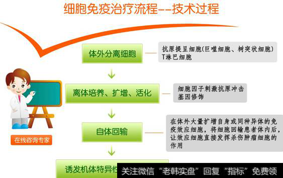 国家生物技术发展战略纲要开始编制、细胞免疫治疗受关注，免疫治疗题材<a href='/gainiangu/'>概念股</a>可关注