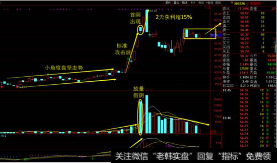 上海钢联日线图