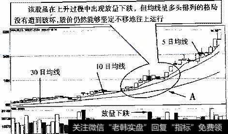 鑫富药业(002019)2007年1月8日～2007年3月21日的日K线走势图