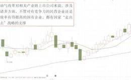 国家经济政策对股价的影响