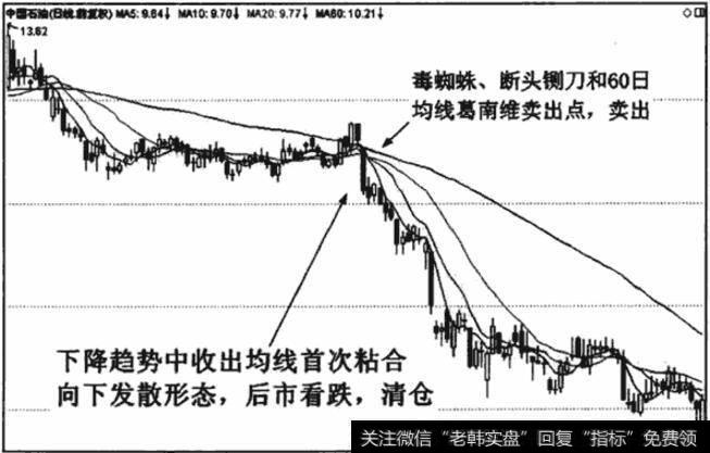 均线首次粘合向下发散与多种看跌信号共振，清仓卖出