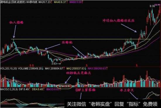 仙人指路的图解案例分析