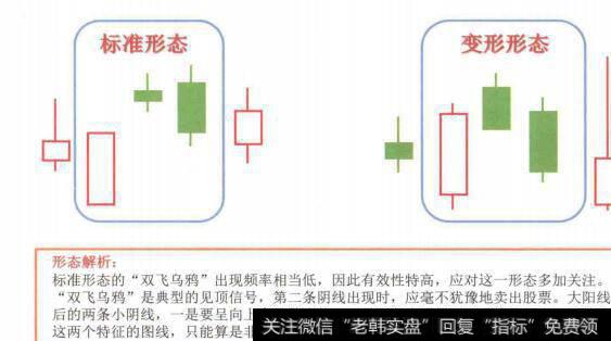 图4-72“双飞乌鸦”形态