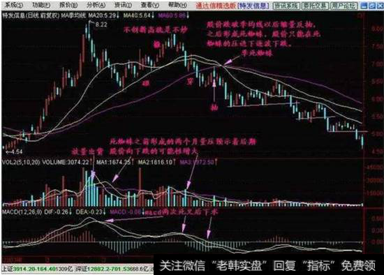 K线死蜘蛛K线形态