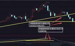 MACD线图中DIF线和MACD线是如何区分的?